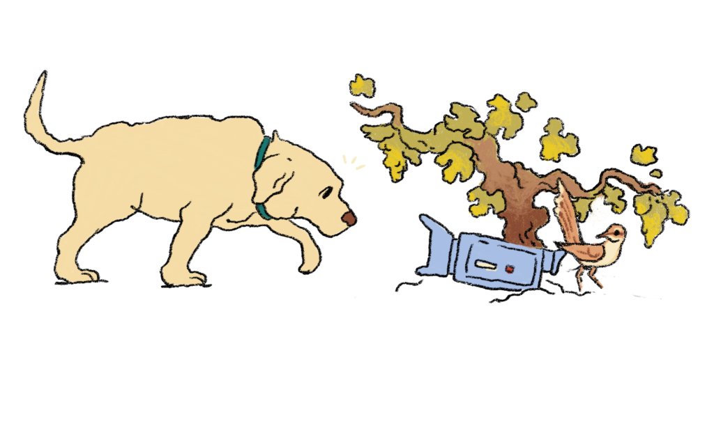 CAMISETAs_microcine26-03